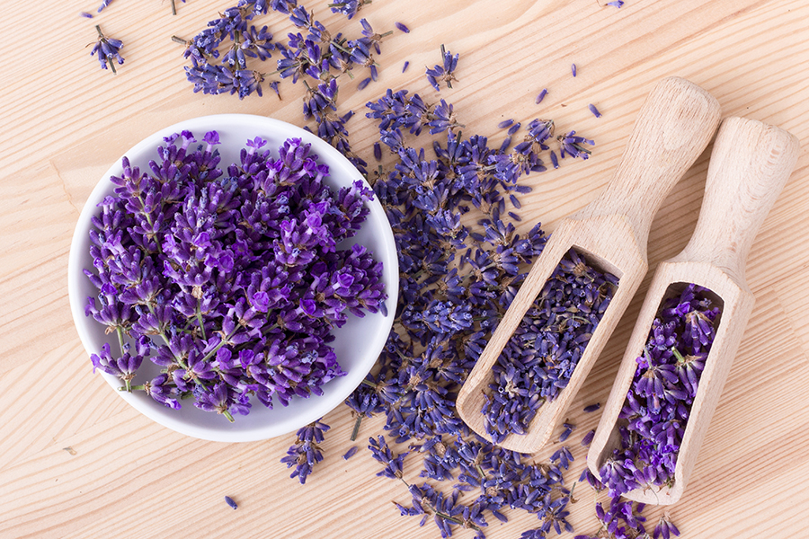 lavanda uso cosmetico