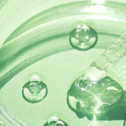 Attivi2-CETRIOLO Attivi2-CETRIOLO